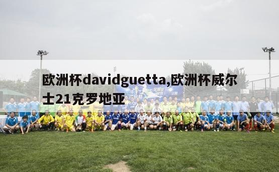 欧洲杯davidguetta,欧洲杯威尔士21克罗地亚