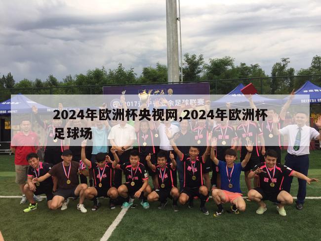 2024年欧洲杯央视网,2024年欧洲杯足球场