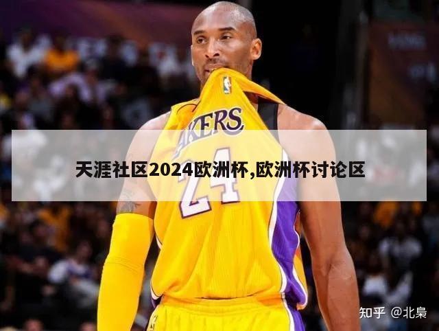 天涯社区2024欧洲杯,欧洲杯讨论区