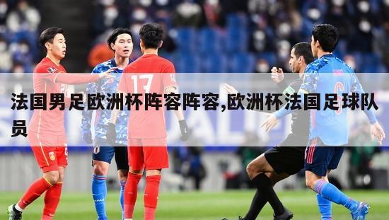 法国男足欧洲杯阵容阵容,欧洲杯法国足球队员