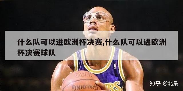 什么队可以进欧洲杯决赛,什么队可以进欧洲杯决赛球队