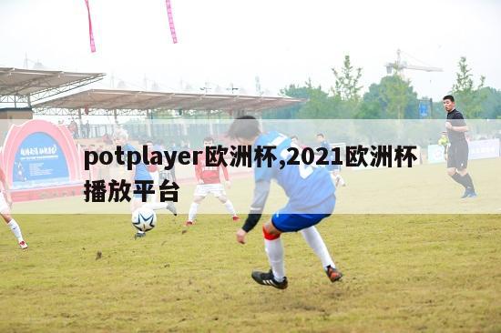 potplayer欧洲杯,2021欧洲杯播放平台