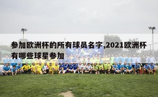 参加欧洲杯的所有球员名字,2021欧洲杯有哪些球星参加