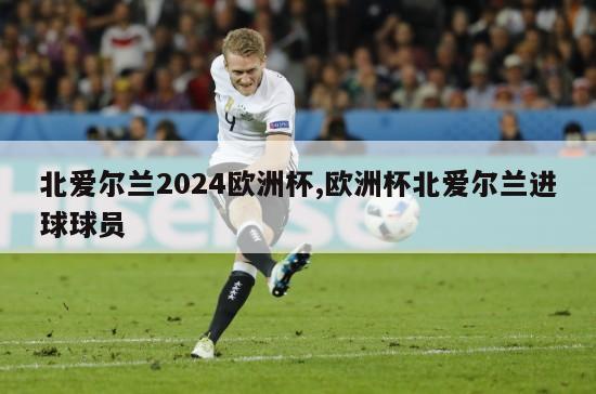 北爱尔兰2024欧洲杯,欧洲杯北爱尔兰进球球员