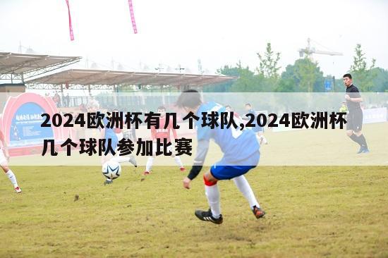 2024欧洲杯有几个球队,2024欧洲杯几个球队参加比赛