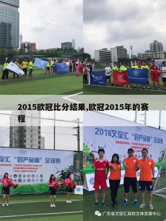 2015欧冠比分结果,欧冠2015年的赛程