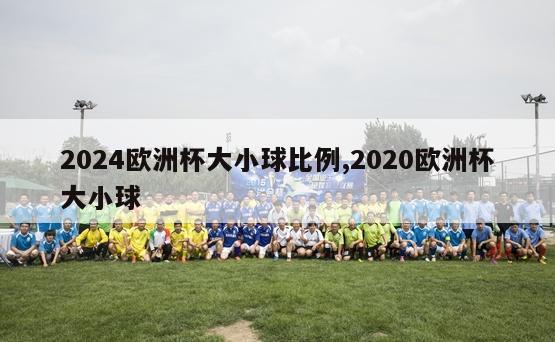 2024欧洲杯大小球比例,2020欧洲杯大小球