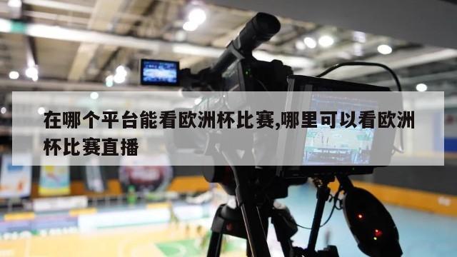 在哪个平台能看欧洲杯比赛,哪里可以看欧洲杯比赛直播